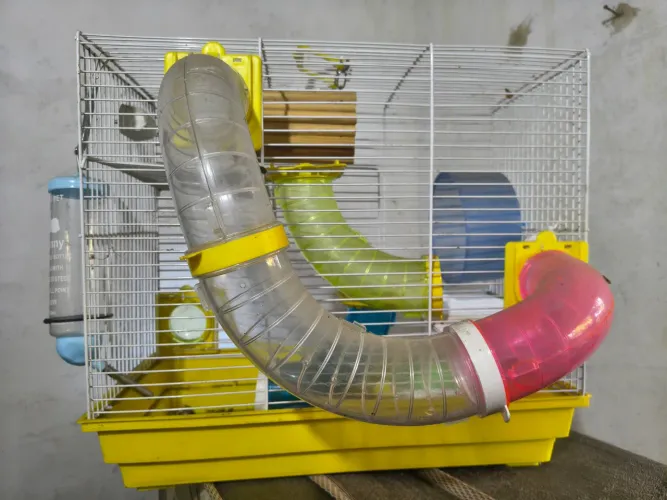 Gaiola para hamster