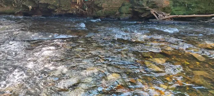 Vendo chácara rica em água no Vale do sábia Novo Gama GO