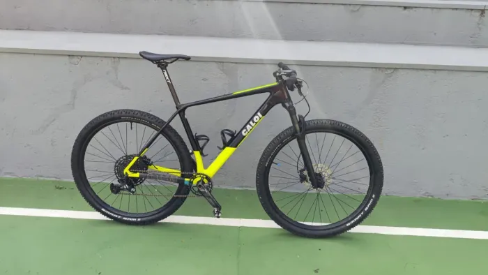 Caloi Elite Carbon Racing