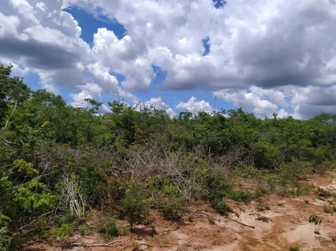 Fazenda com 6.900 Hectares à Venda em Cocos, Bahia