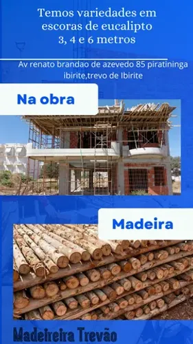 Escora comum 3mt eucalipto comum 