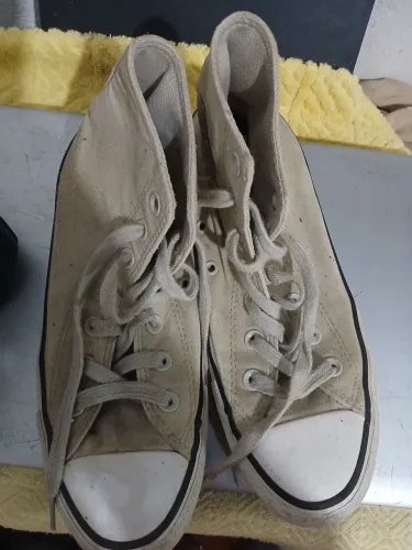 Tenis