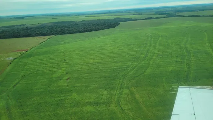 Fazenda de arrendamento 3.620 hec plantando, em.Paranhos MS.