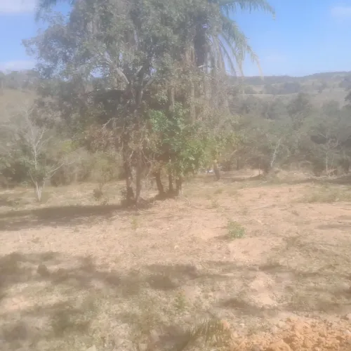 Chacara rural no sítio novo