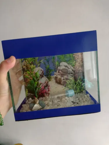 Aquário beteira para peixe beta