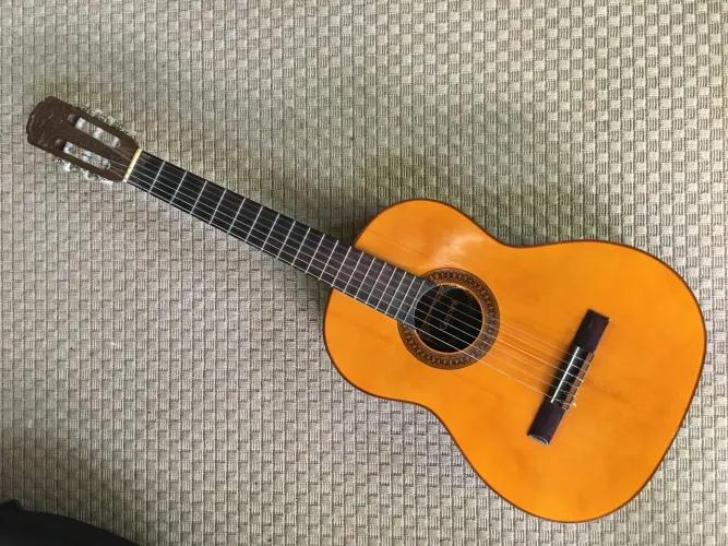 Violão Giannini AWNM4 novo com hardcase