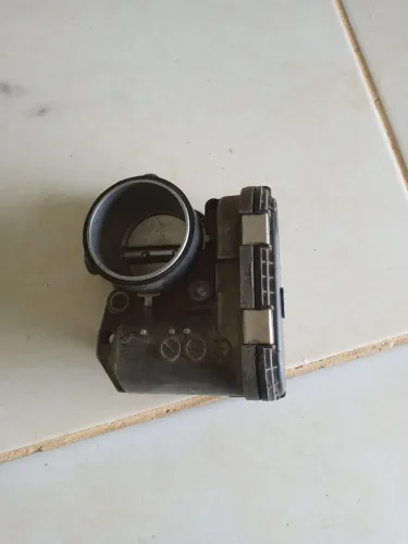 Tbi corpo de borboleta 