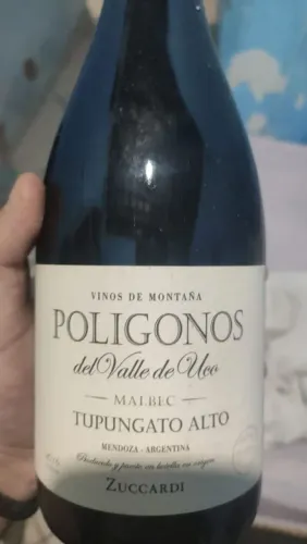 Vinho Argentino Poligonos Del Valle De Uco Malbec 2016