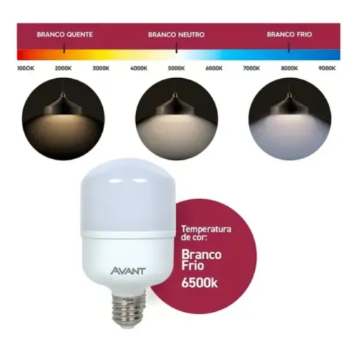 Lâmpada Bulbo Alta Potência 30w 6500k  - Branco Frio _ CS182