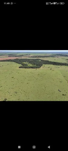 Fazenda de arrendamento 2.200 hec em pasto em Paranatinga MT. Argila acima 30%