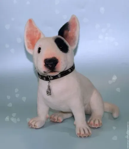 Filhotes de Bull Terrier Pirata