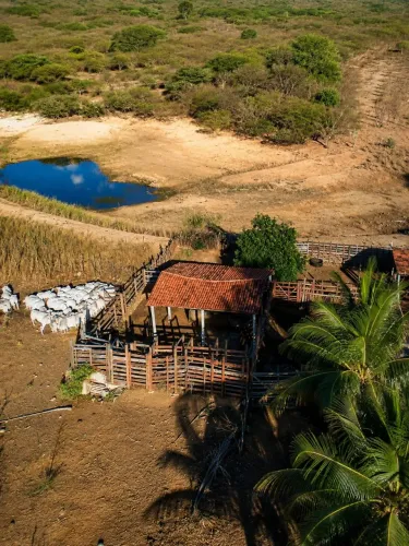 Sitio em sao mamede pb