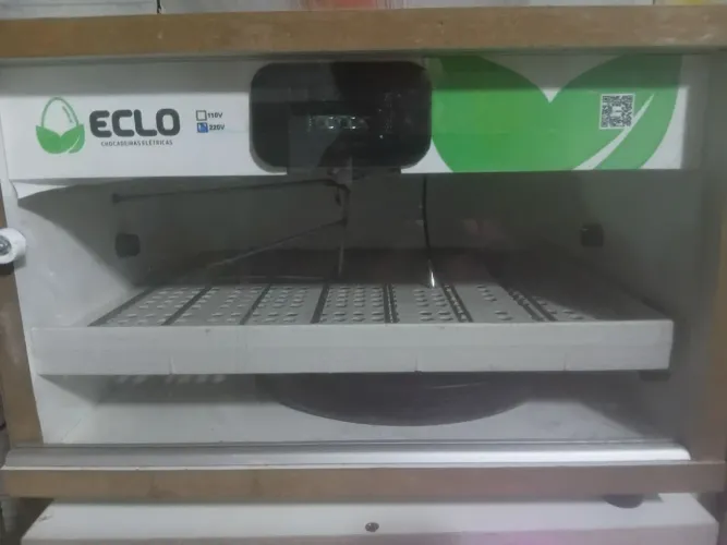 VENDO CHOCADEIRA 