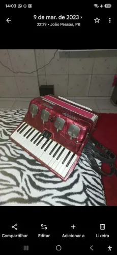 Sanfona rampazzo 80 baixos