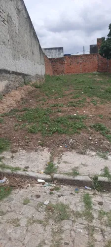 Terreno polsada verde, lamaram próximo a pista nova que vai pro bugio