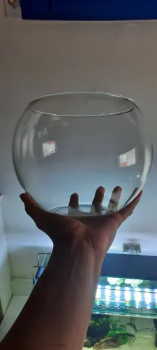Aquário bola para peixe betta