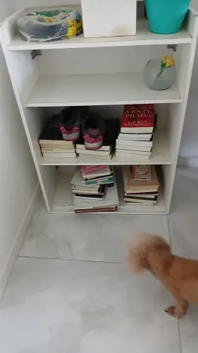 Estante de quarto de criança. É suspensa