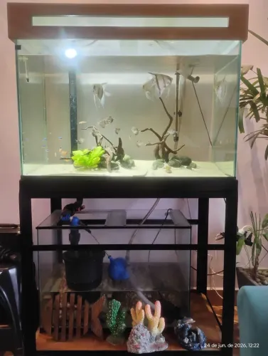 Aquário 270 litros