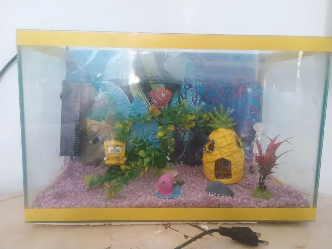 Aquário Completo