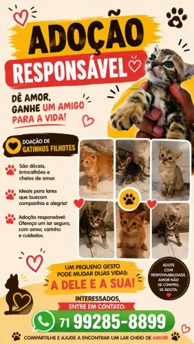 Gatinho