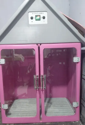 Maquina para banho e tosa