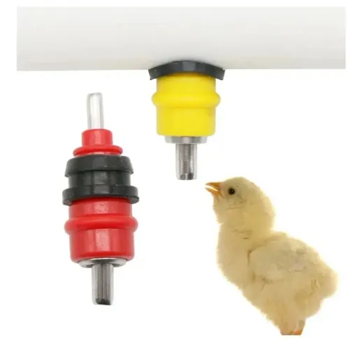 Bico bebedouro automático para aves 