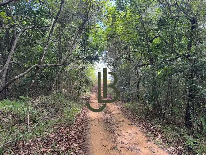 Excelente sitio medindo 11 hectares ideal pra agricultura - Alhandra - PB