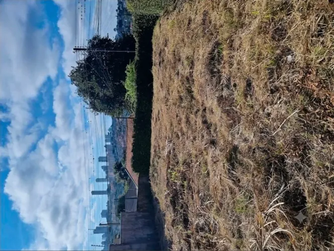 Lote de esquina fechado.
