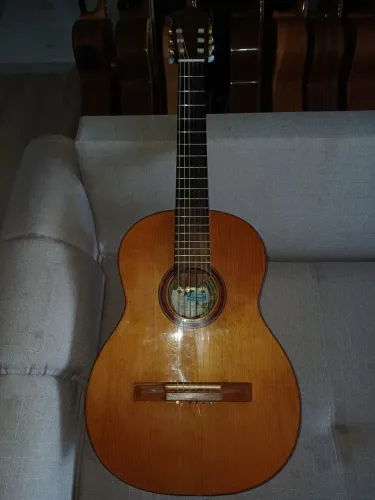 Violão d'giorgio Amazônia 30