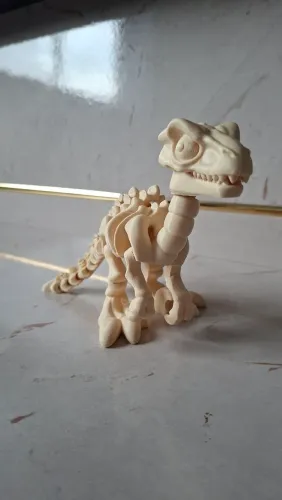 Velociraptor esqueleto 3D | Fóssil | Brinquedo | Infantil | Dinossauro