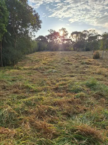 terreno varinhas