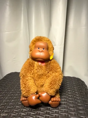 Macaco Murphy/Murfy Júnior 