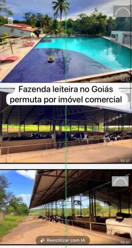 Fazenda leiteira no Goiás aceita permuta por imóvel comercial