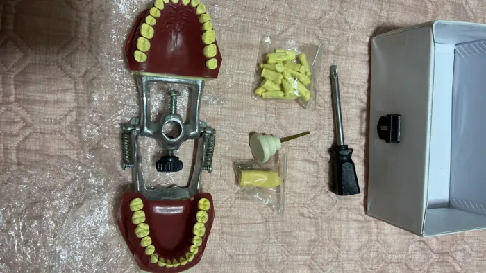 Manequim Odontológico