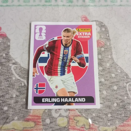 *Figurinha da copa haaland*
