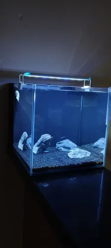 Aquário com sump traseiro