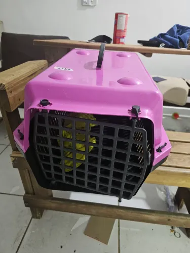 CAIXA TRANSPORTE PET