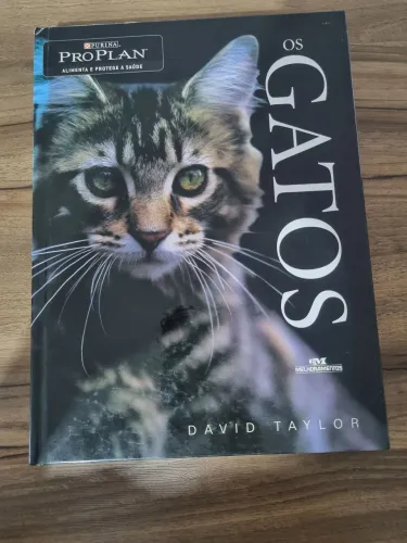 Os gatos de David Tailor