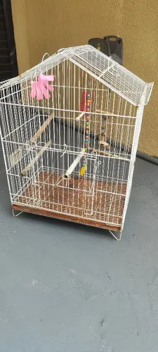 Gaiola grande conservada