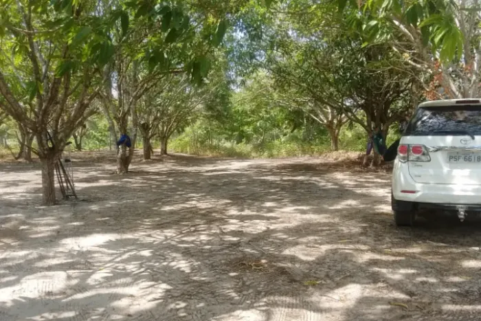 Refúgio dos Sonhos em Quebra Pote São Luís - Natureza, Conforto e Localização Perfeita!