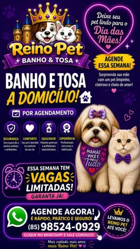 Banho e Tosa a Domicílio - Reino Pet ?