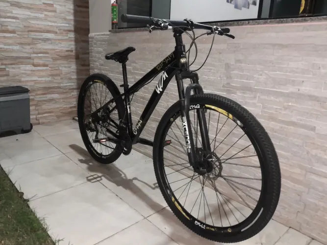 BICICLETA ARO 29