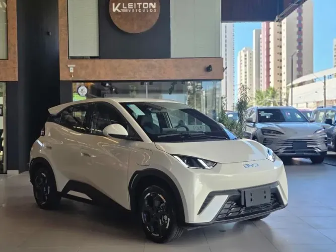 BYD Dolphin Mini (Elétrico) 2027