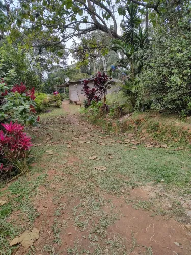 Vendo sítio em Juquitiba sp