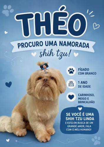Shih tzu macho atrás de namorada