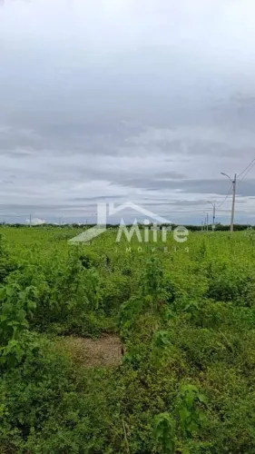 Lote Tropical Ville Cod (20910)