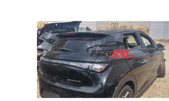 TEMOS PEÇAS PARA ESSA SUCATA! BYD DOLPHIN GS 