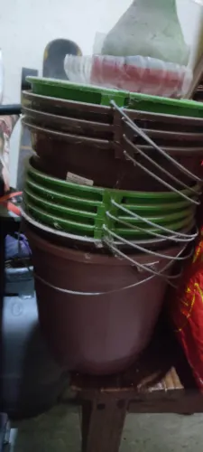 10 Baldes plástico 5 LITROS 