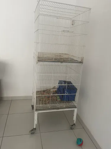 Gaiola de Metal Branca Alta com Rodas - Espaçosa e Pronta para Uso