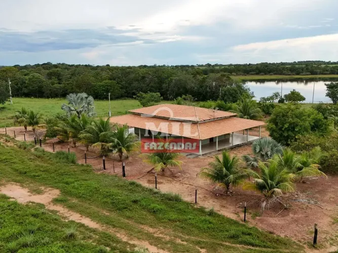 Fazenda 111 alqueires ( 537 hectares) Formoso do Araguaia - TO